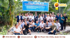 Chương Trình Thiện Nguyện - Công ty cung cấp dịch vụ thuê văn phòng Gò Vấp