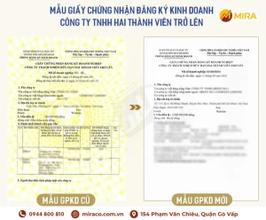 Mẫu giấy chứng nhận đăng ký kinh doanh Công ty TNHH hai thành viên trở lên - Tư vấn doanh nghiệp Mira