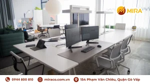 Cân bằng âm dương phong thủy văn phòng
