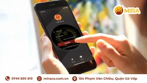 Thời gian tạm dừng ứng dụng thuế điện tử