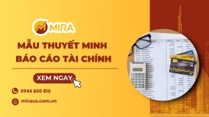 Mẫu thuyết minh báo cáo tài chính: Công cụ không thể thiếu trong phân tích tài chính doanh nghiệp