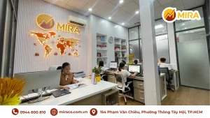 Tư Vấn Doanh Nghiệp Mira – Đơn vị tư vấn và hỗ trợ doanh nghiệp toàn diện